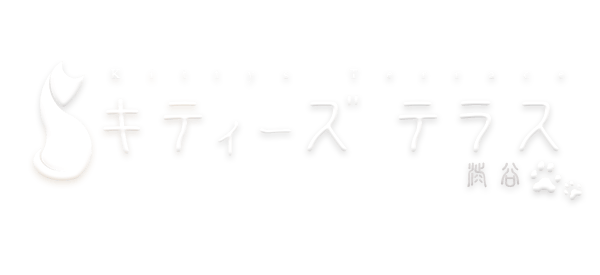 Schedules 渋谷オナクラ 素人美少女達のにゃんにゃん手コキ風俗 キティーズテラス渋谷店 Schedules 渋谷オナクラ 素人美少女達のにゃんにゃん手コキ風俗 キティーズテラス渋谷店