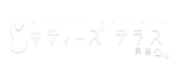 Schedules 渋谷オナクラ 素人美少女達のにゃんにゃん手コキ風俗 キティーズテラス渋谷店